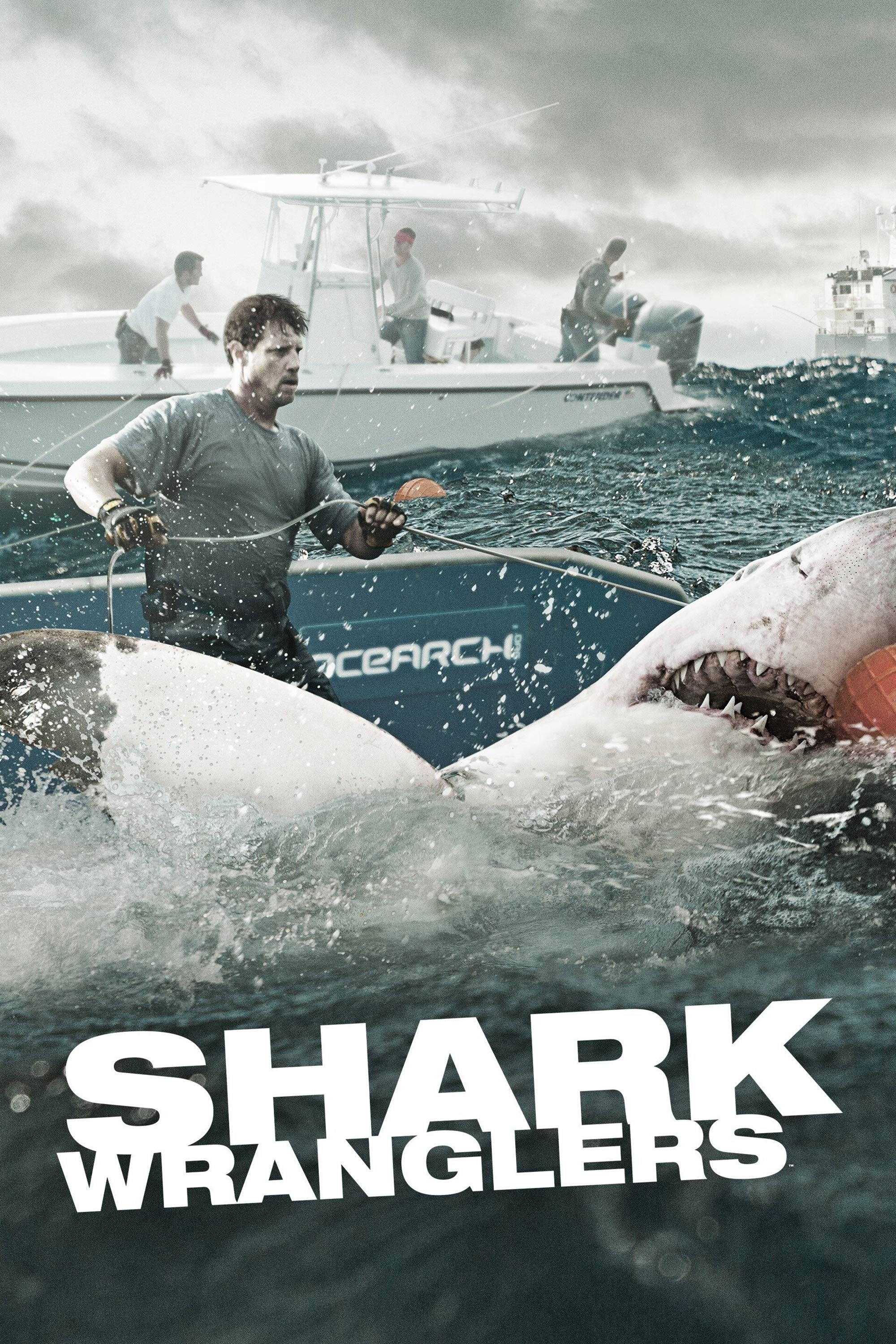 Poster de Shark Wranglers