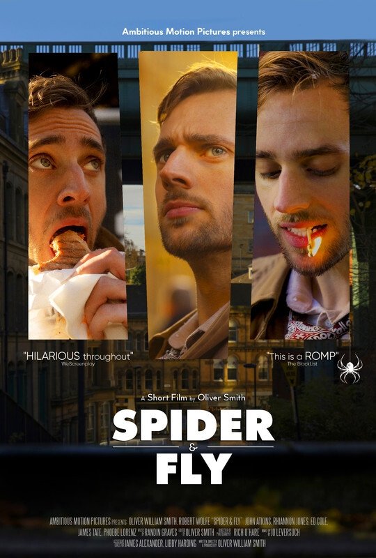 Poster de Spider & Fly