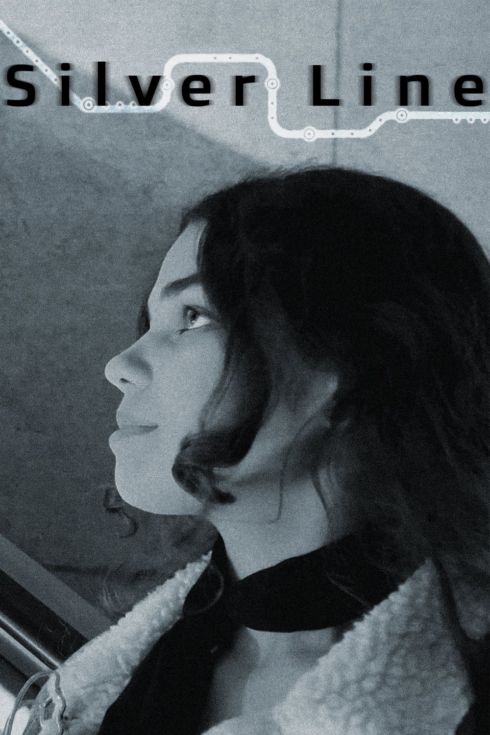 Poster de Silver Line
