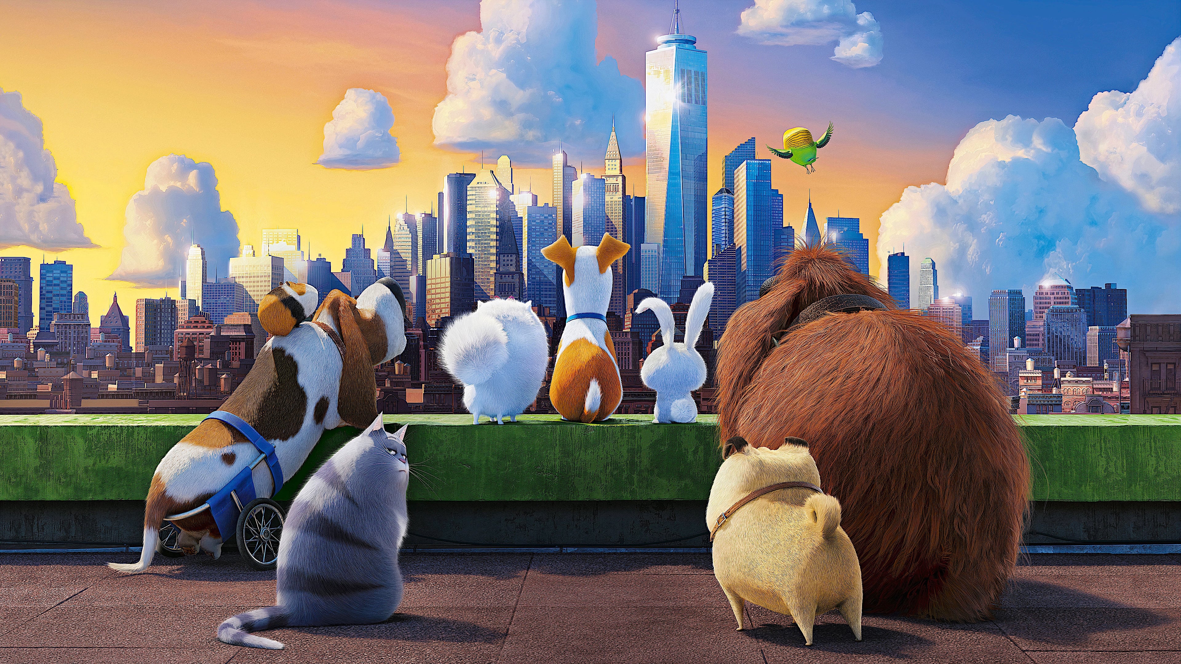 The Secret Life of Pets 2016 Soap2Day