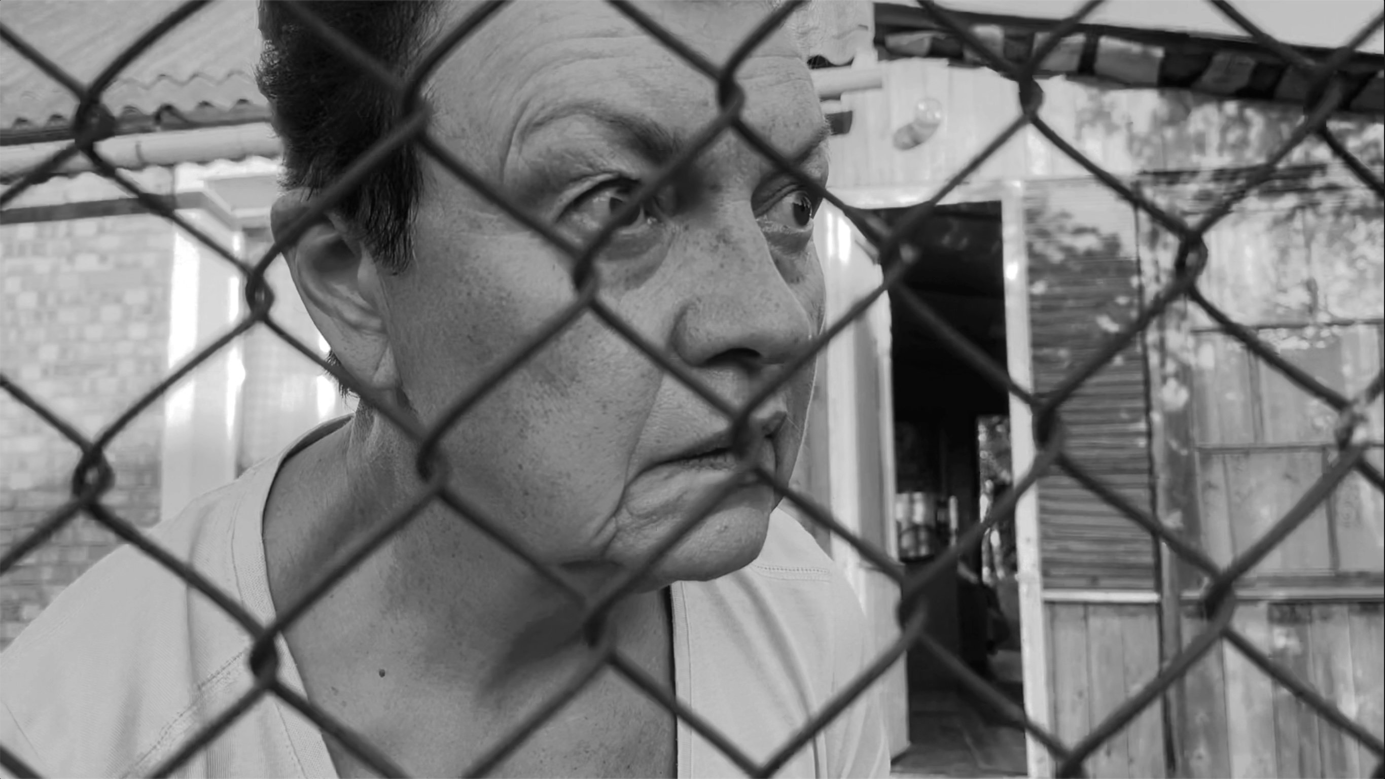 Fences