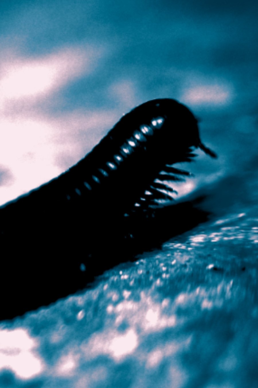 Movie picture