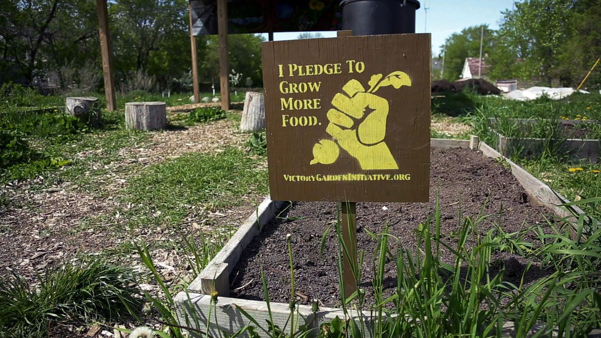 The Victory Garden Initiative