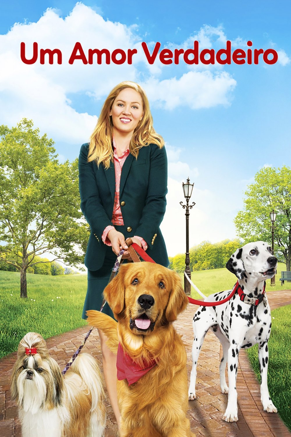 Poster de Um Amor Verdadeiro