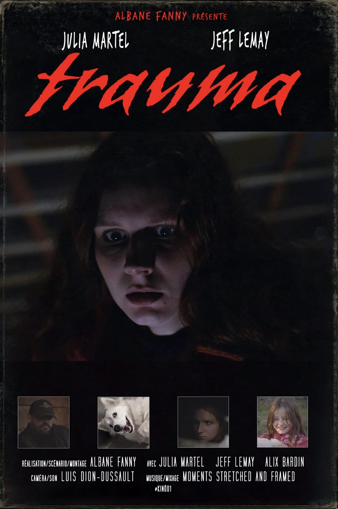 Poster de Trauma