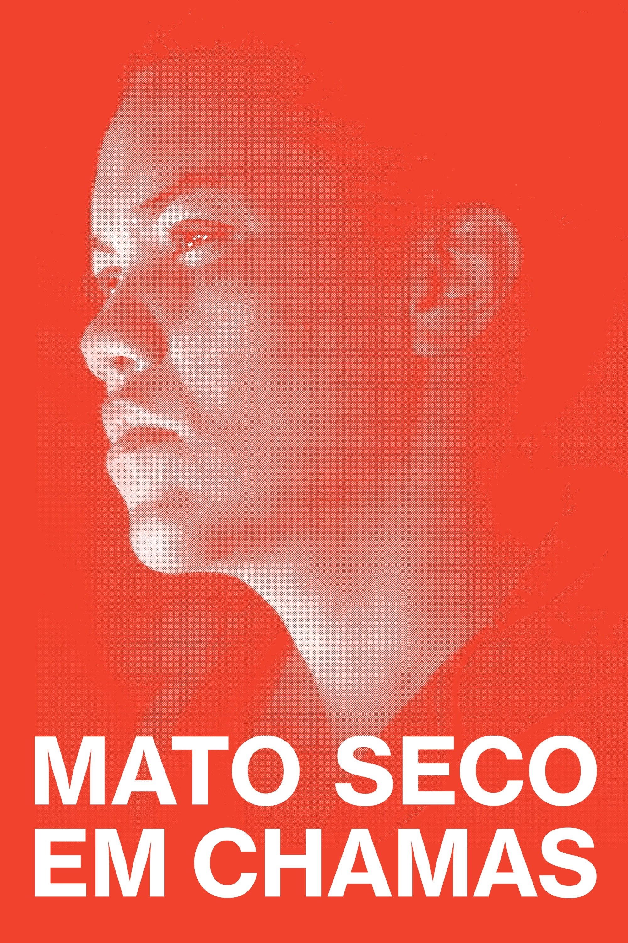 Poster de Mato Seco em Chamas