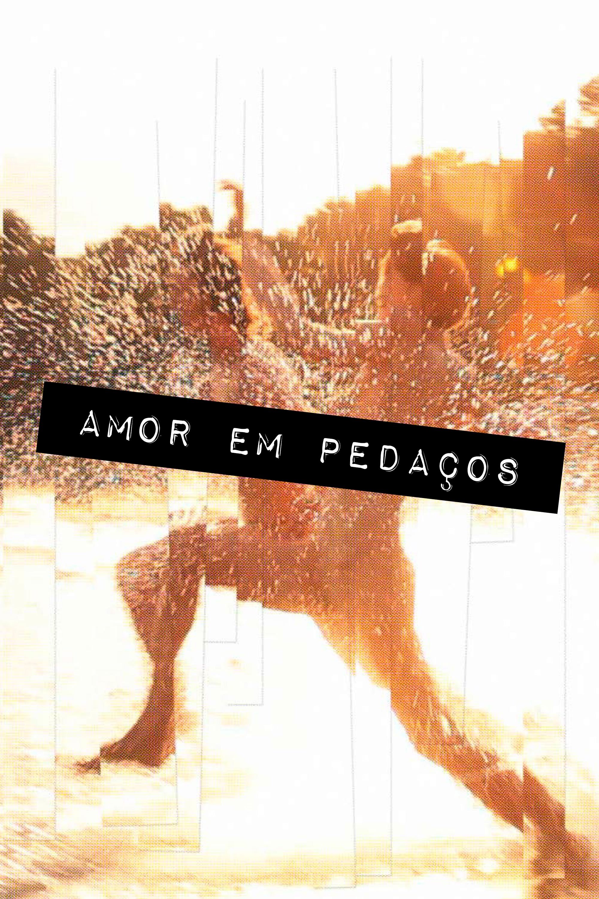 Poster de Amor em Pedaços