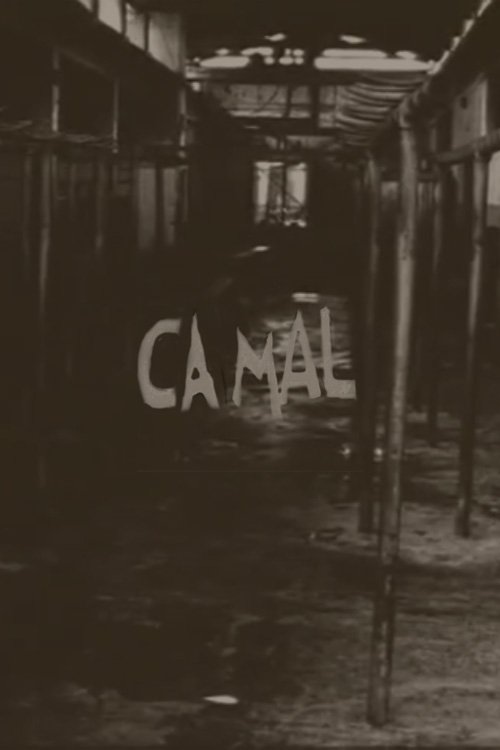 Poster de Camal