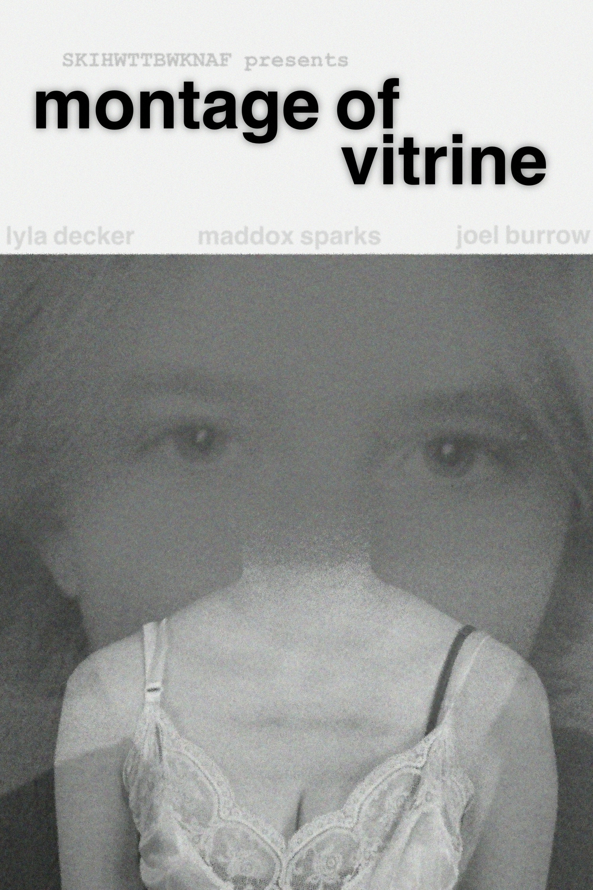 Montage of Vitrine