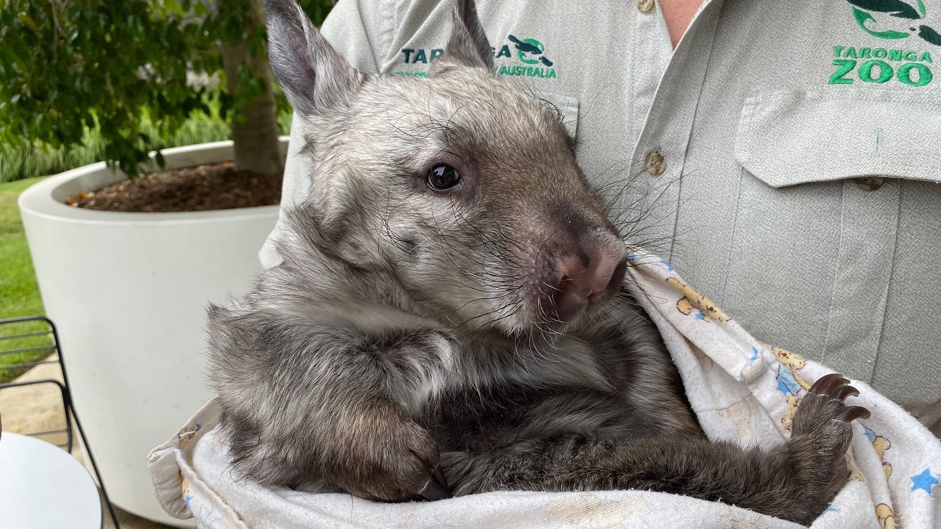 Secrets of the Zoo: Down Under 1×8