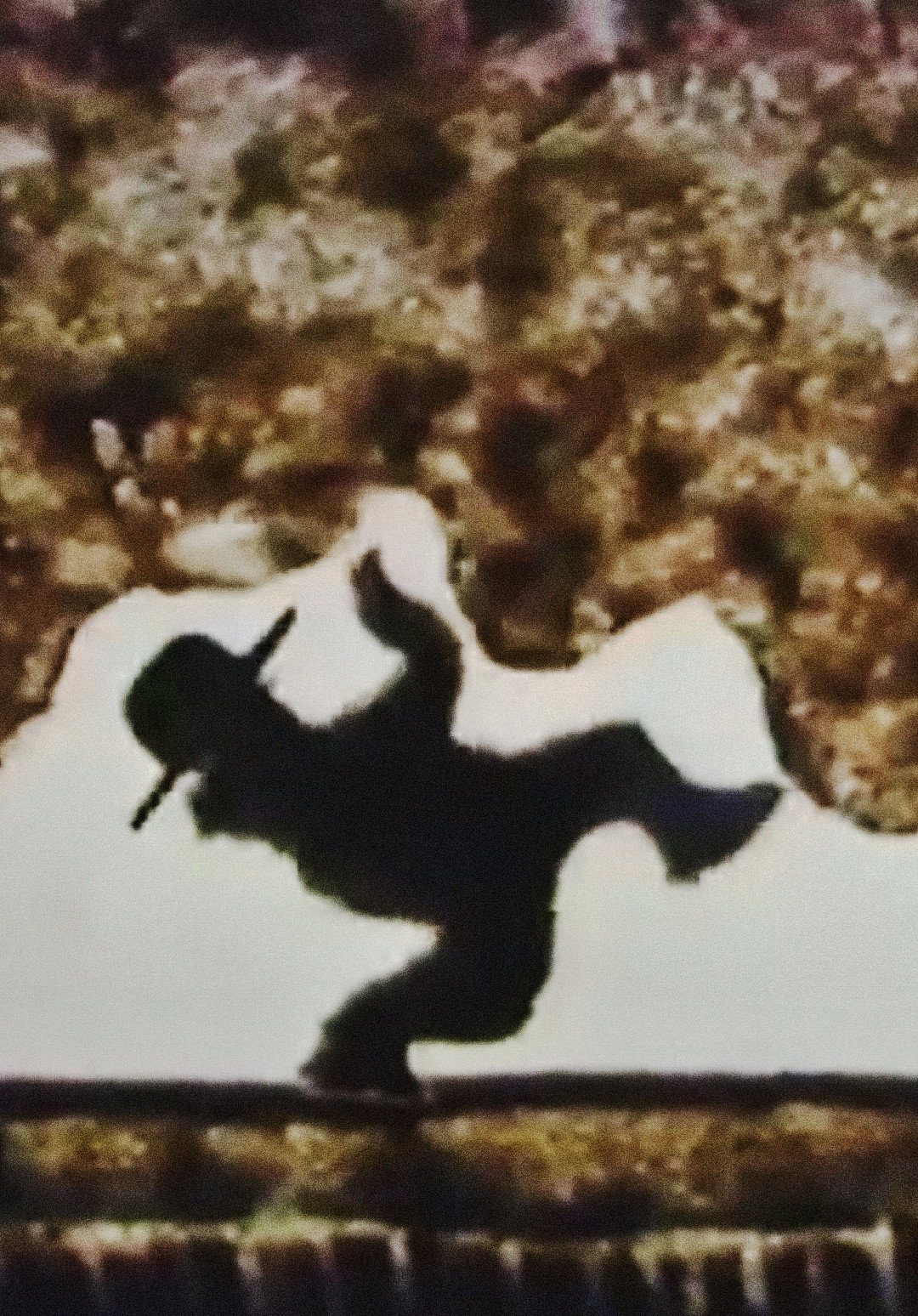 Sand Dance