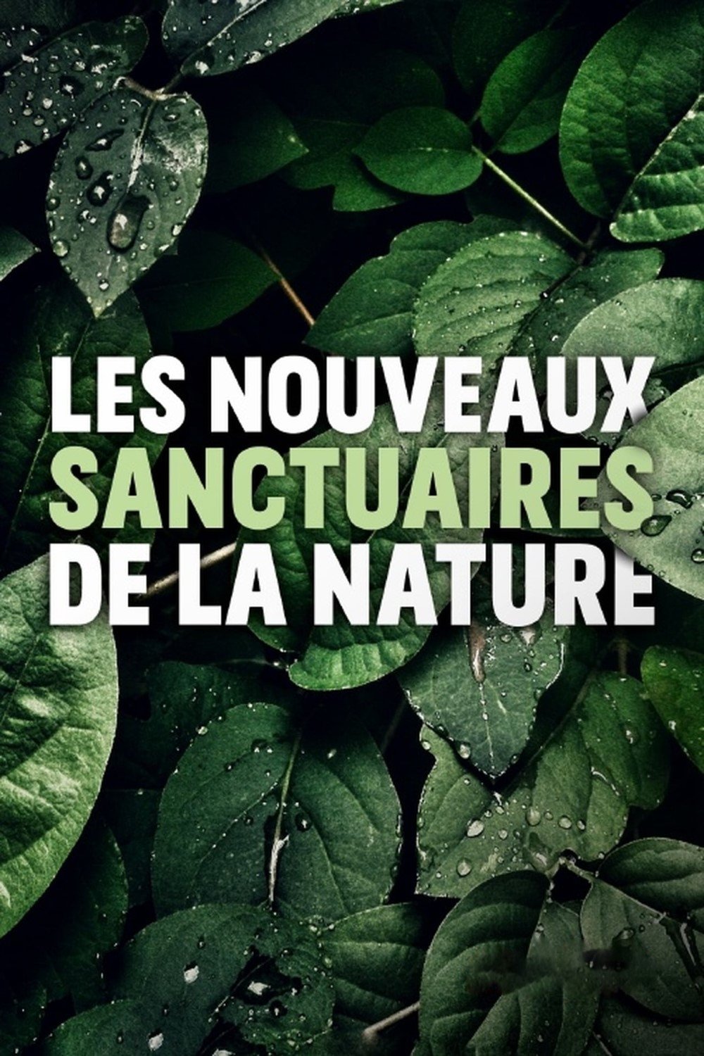 Poster de Nationalparks der Zukunft