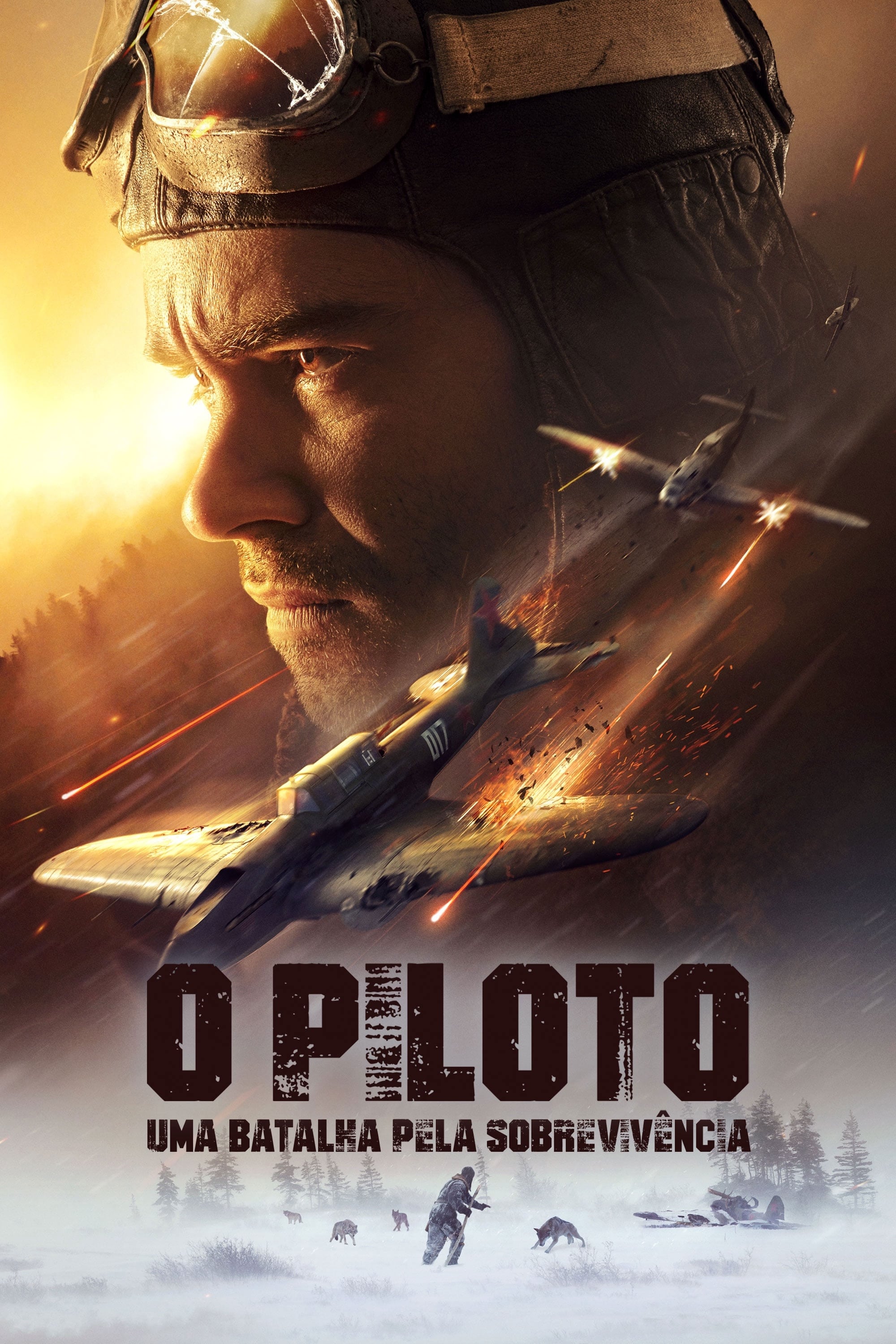 Poster de O Piloto - Uma Batalha Pela Sobrevivência