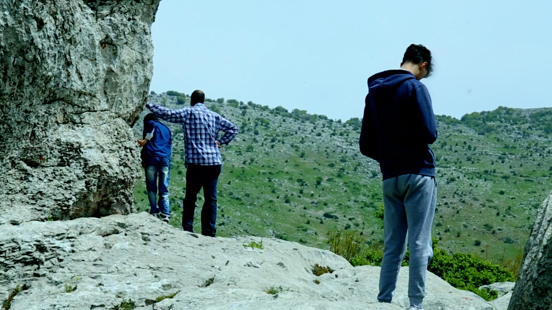 Director