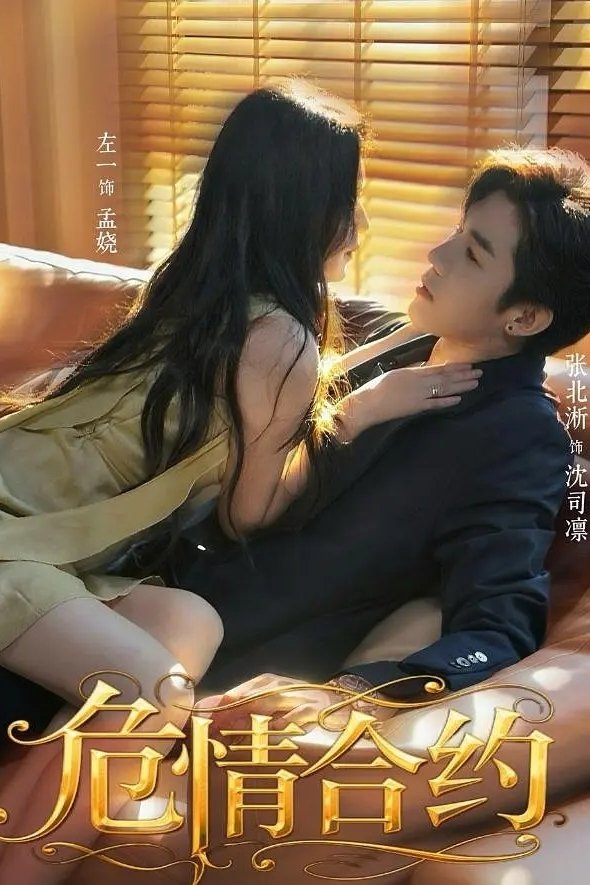 Poster de 危情合约
