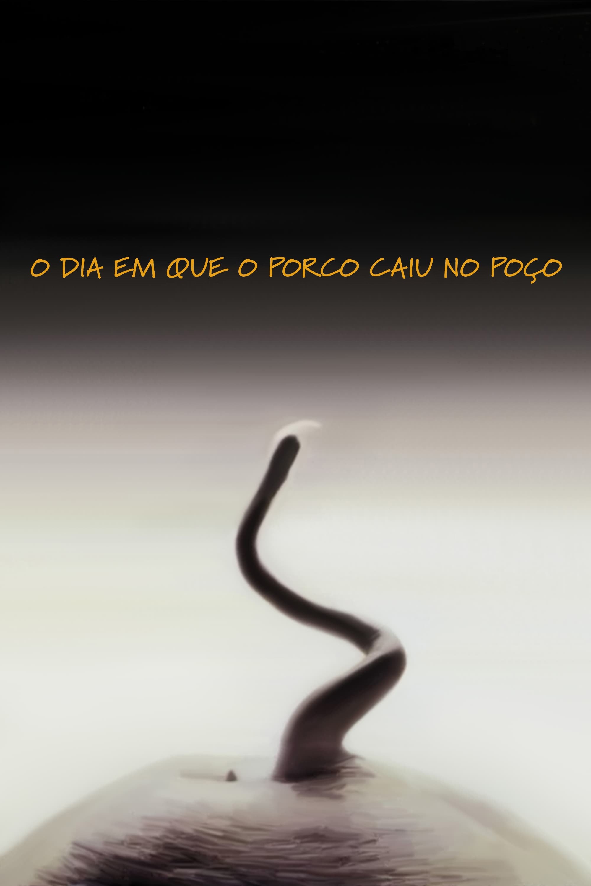 Poster de O Dia em Que o Porco Caiu no Poço