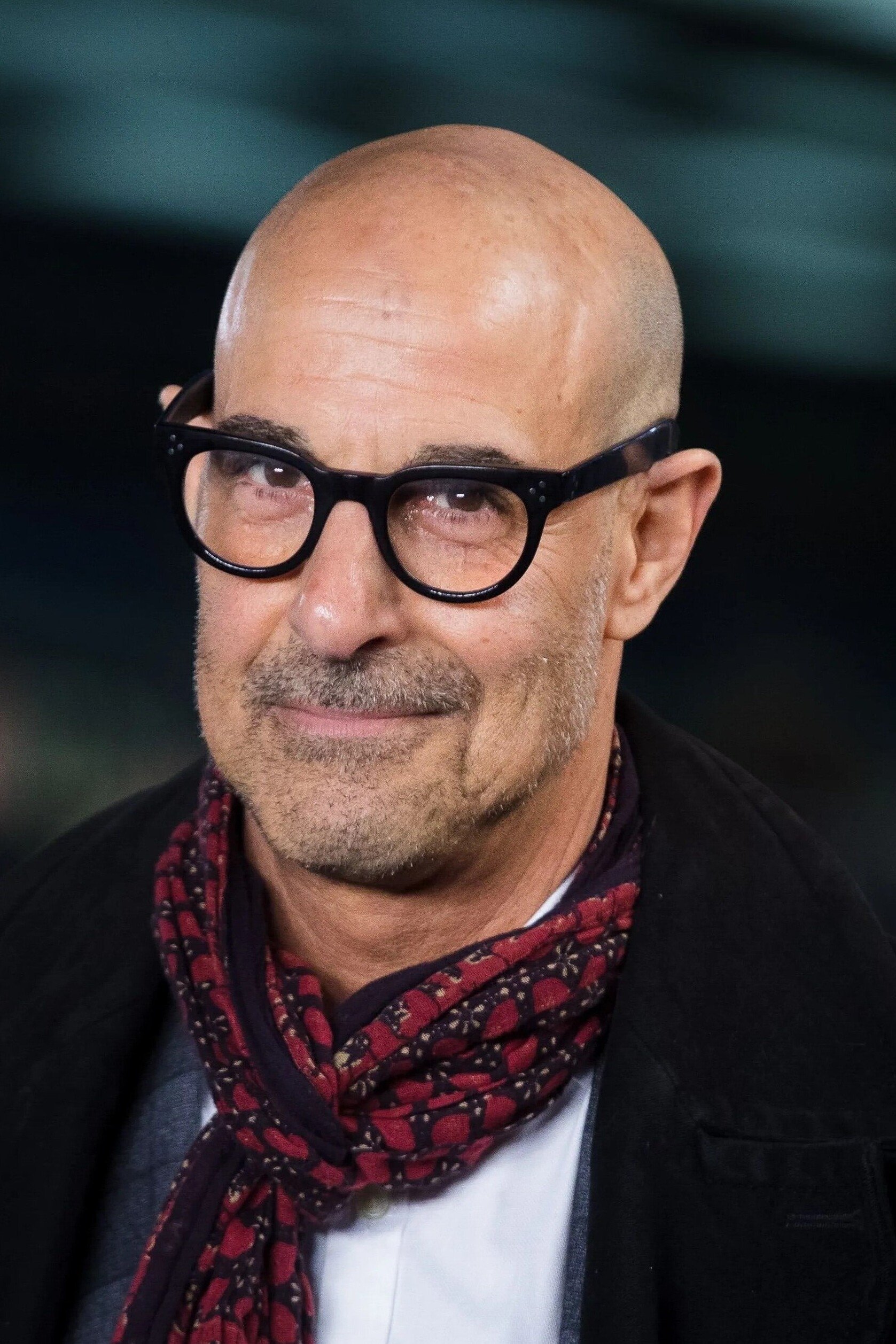 Foto de Stanley Tucci