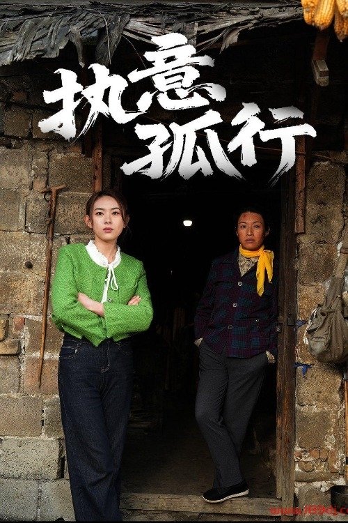 Poster de 执意孤行