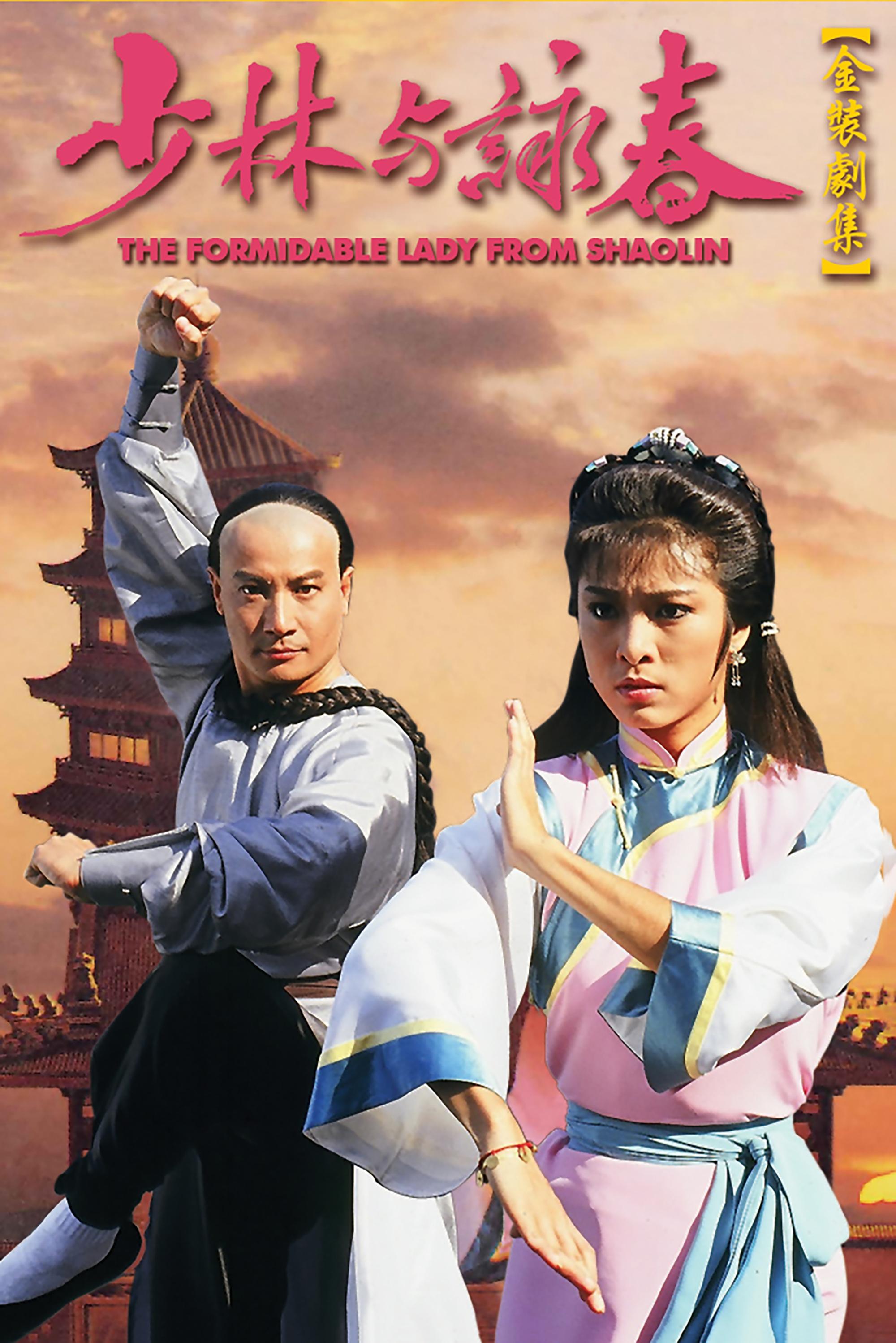 Poster de 少林與詠春