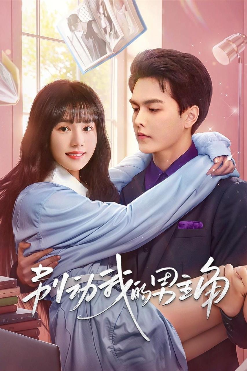 Poster de 别动我的男主角