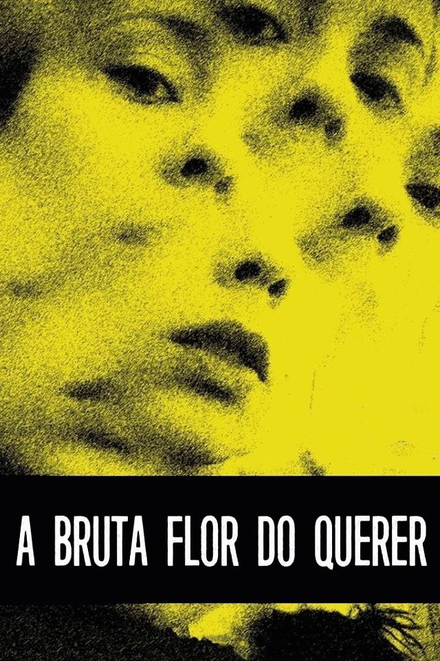 Poster de A Bruta Flor do Querer
