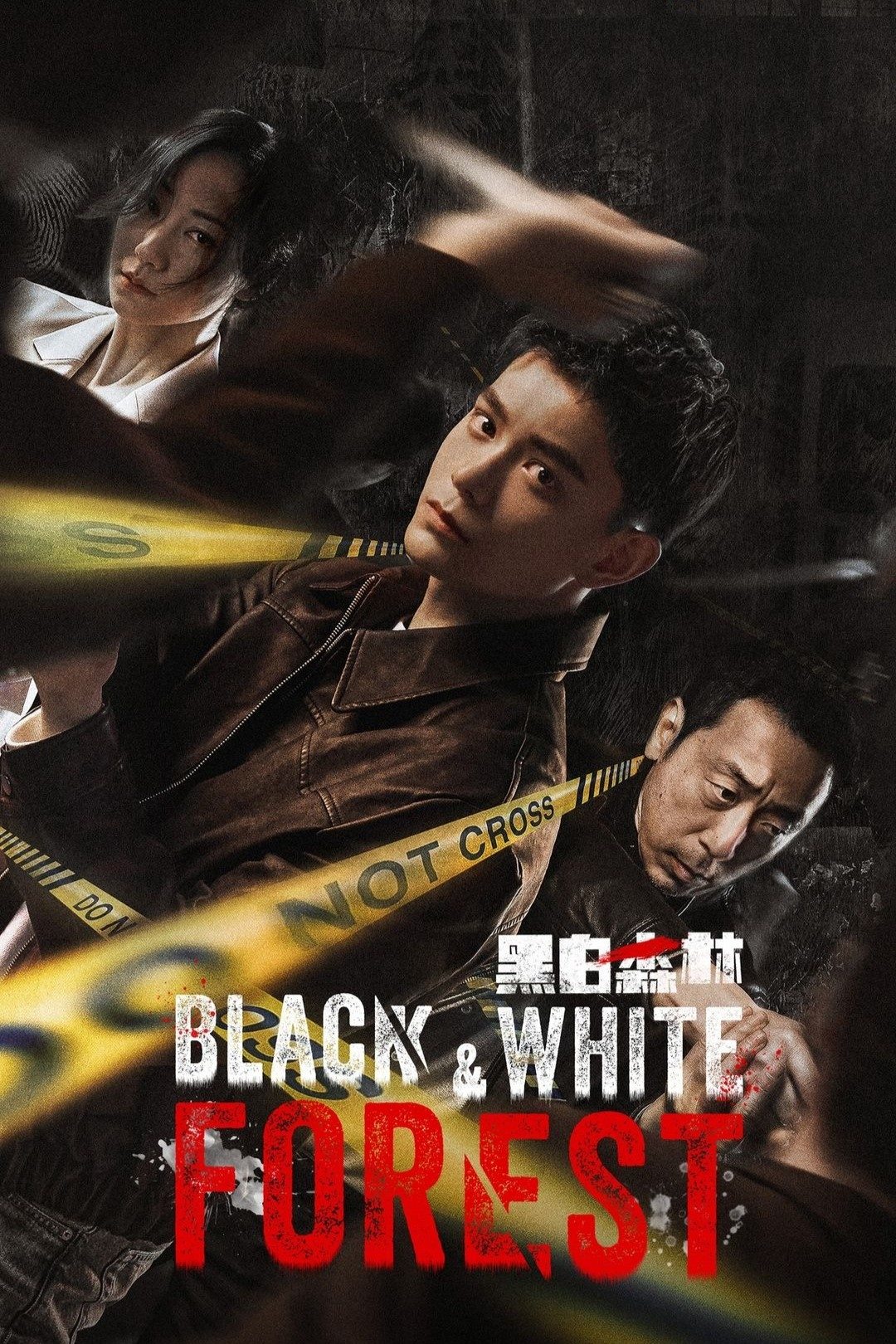 Poster de Temporada 1