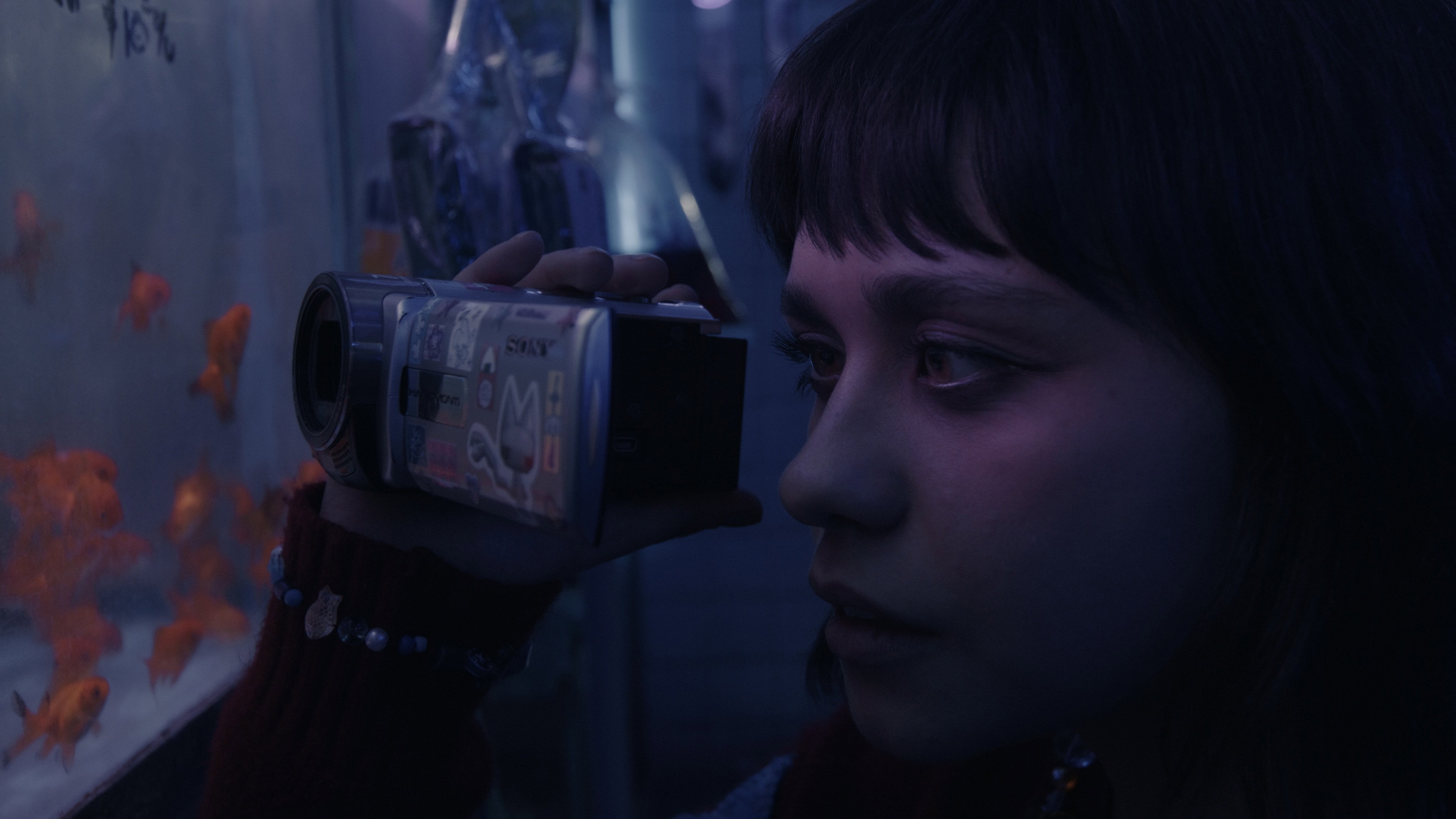 Director