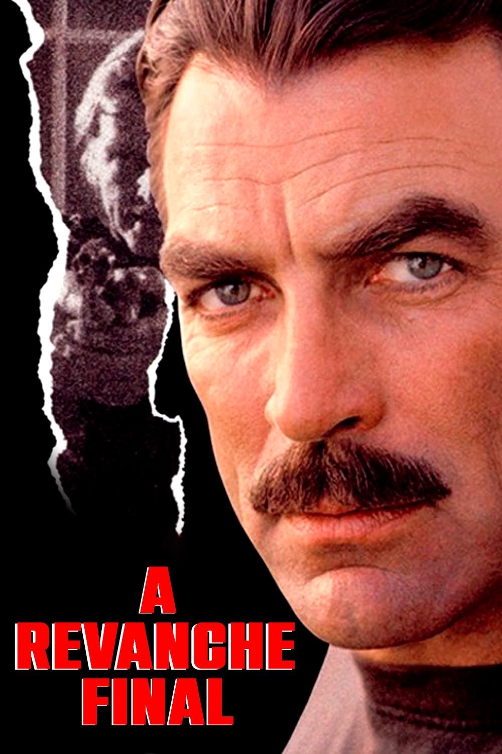 Poster de A Revanche Final