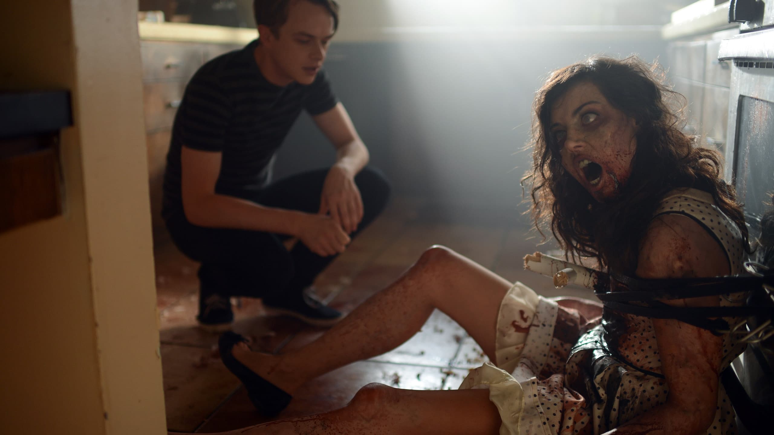 Life After Beth 2014 123movies