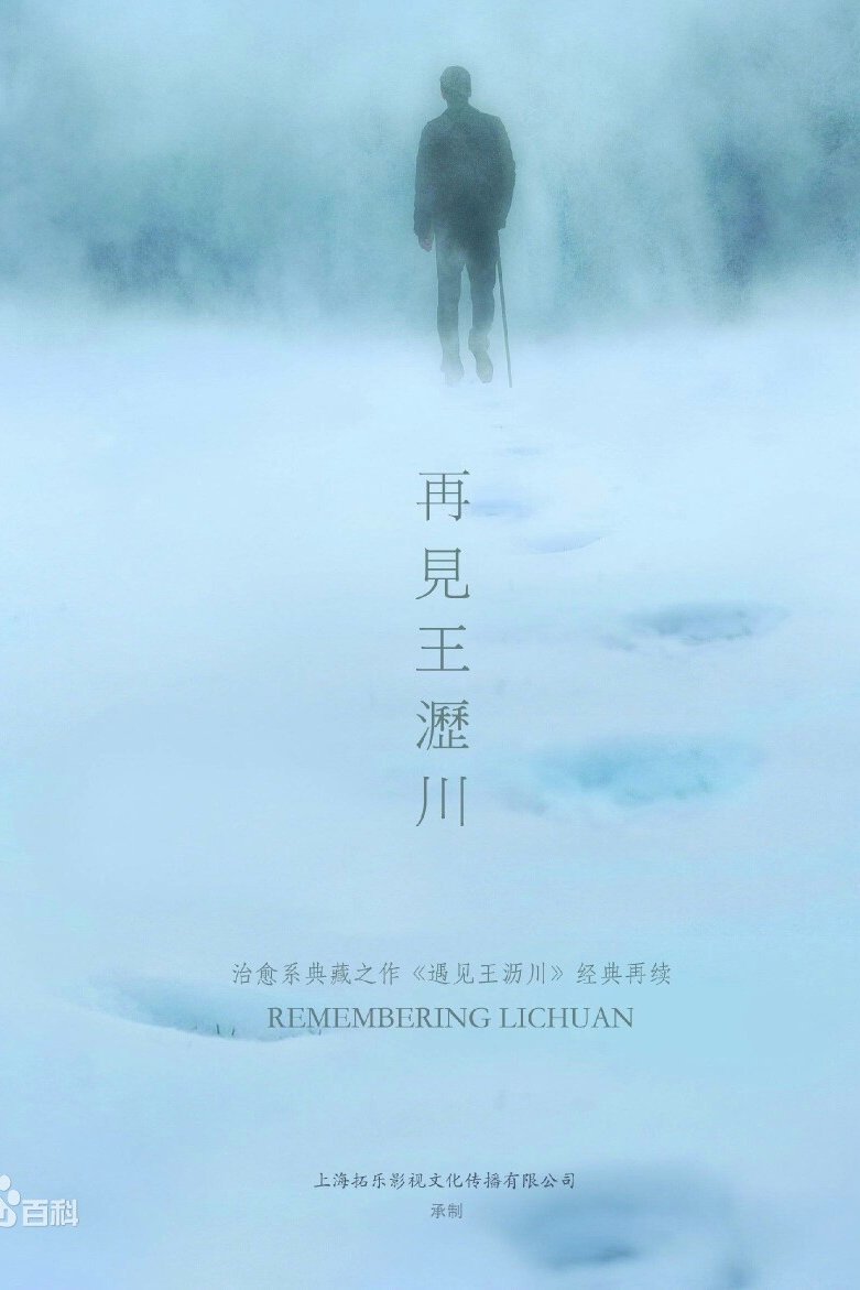 Poster de 再见王沥川