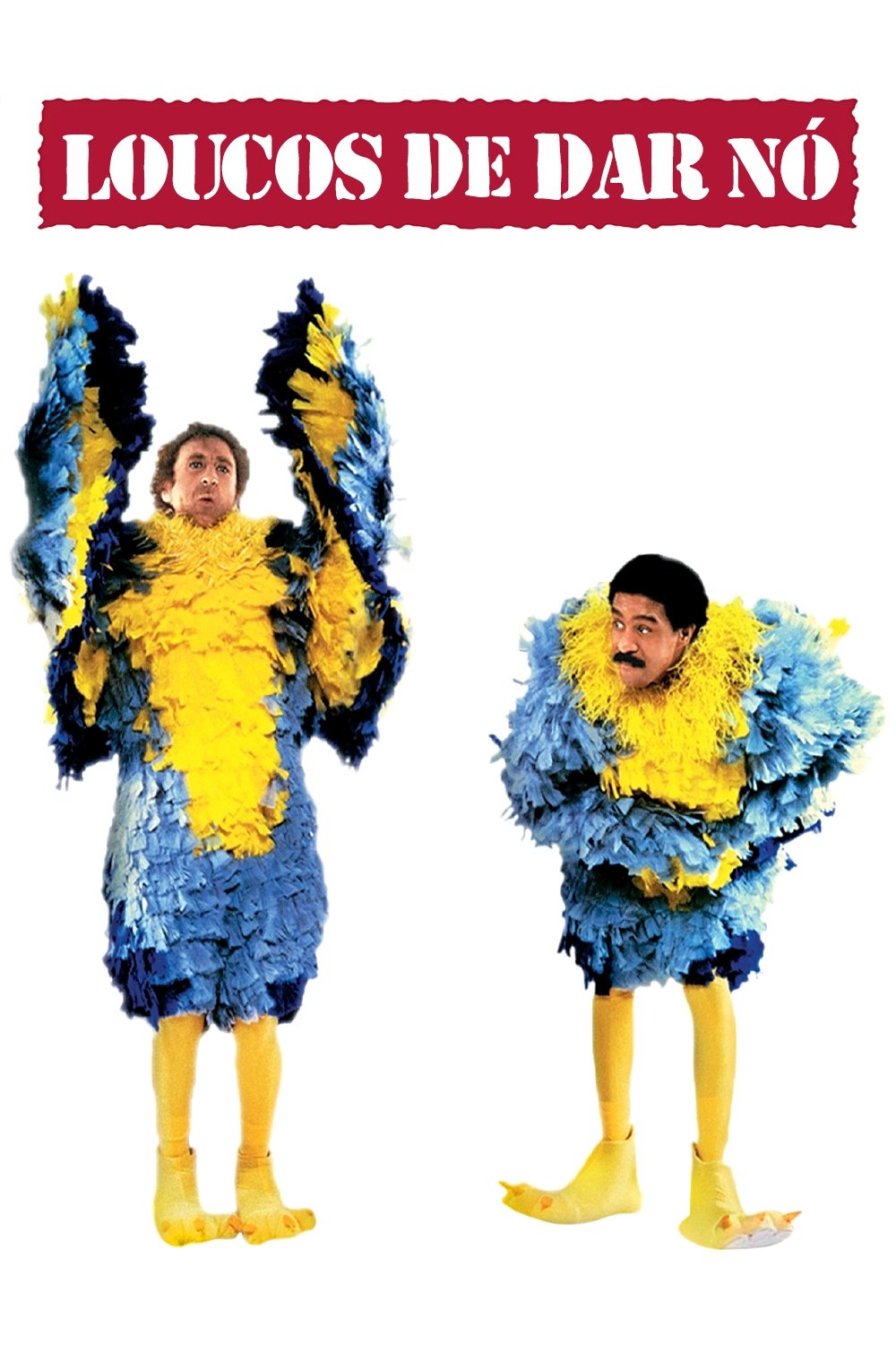 Poster de Loucos de Dar Nó