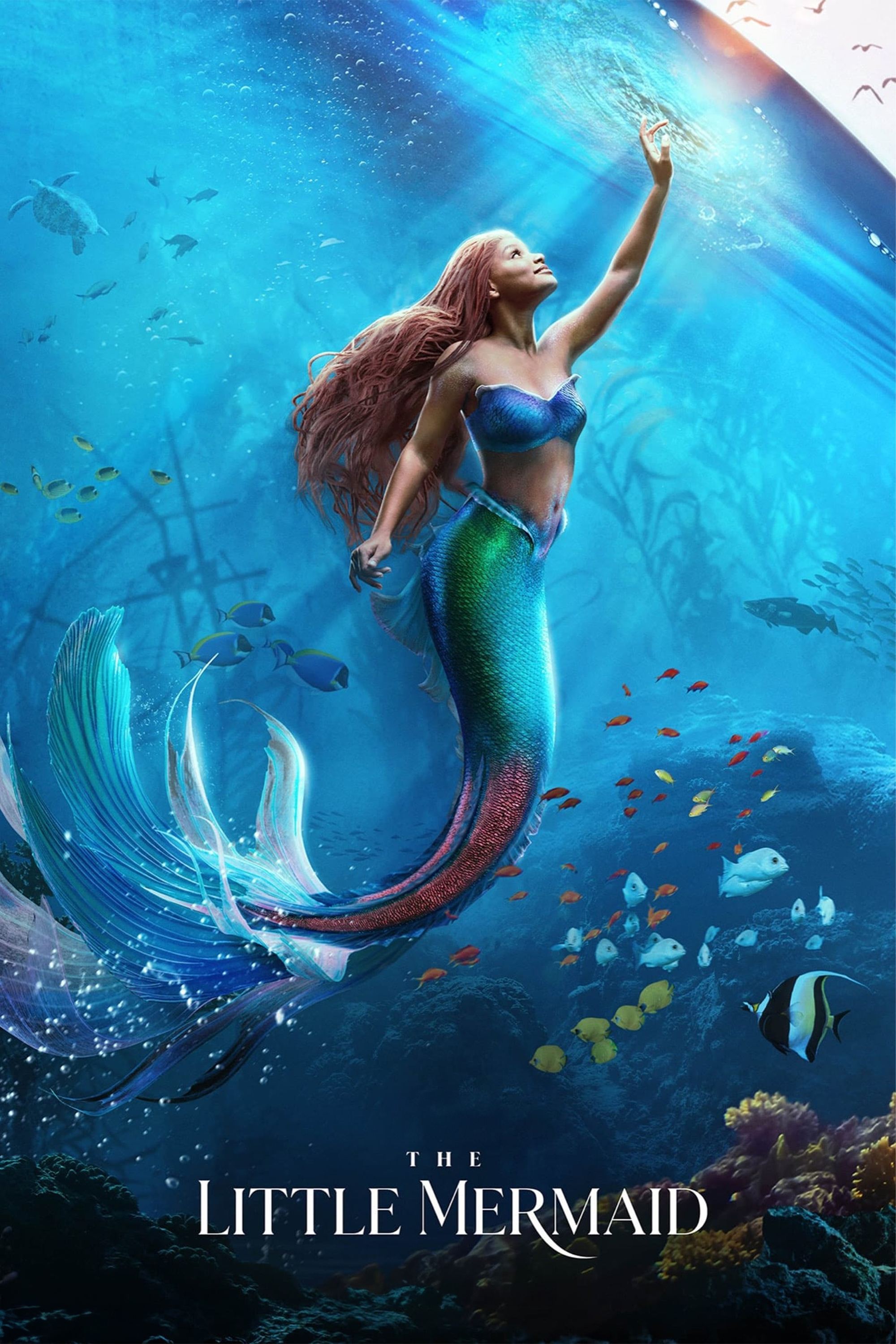 Poster movie