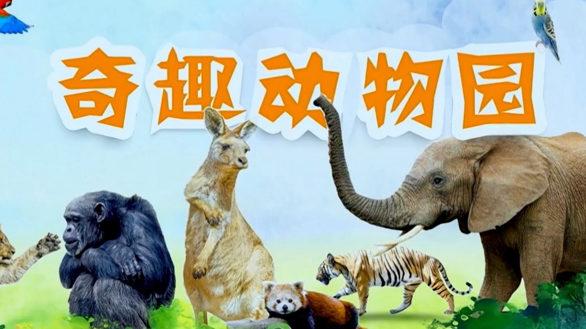 奇趣动物园
