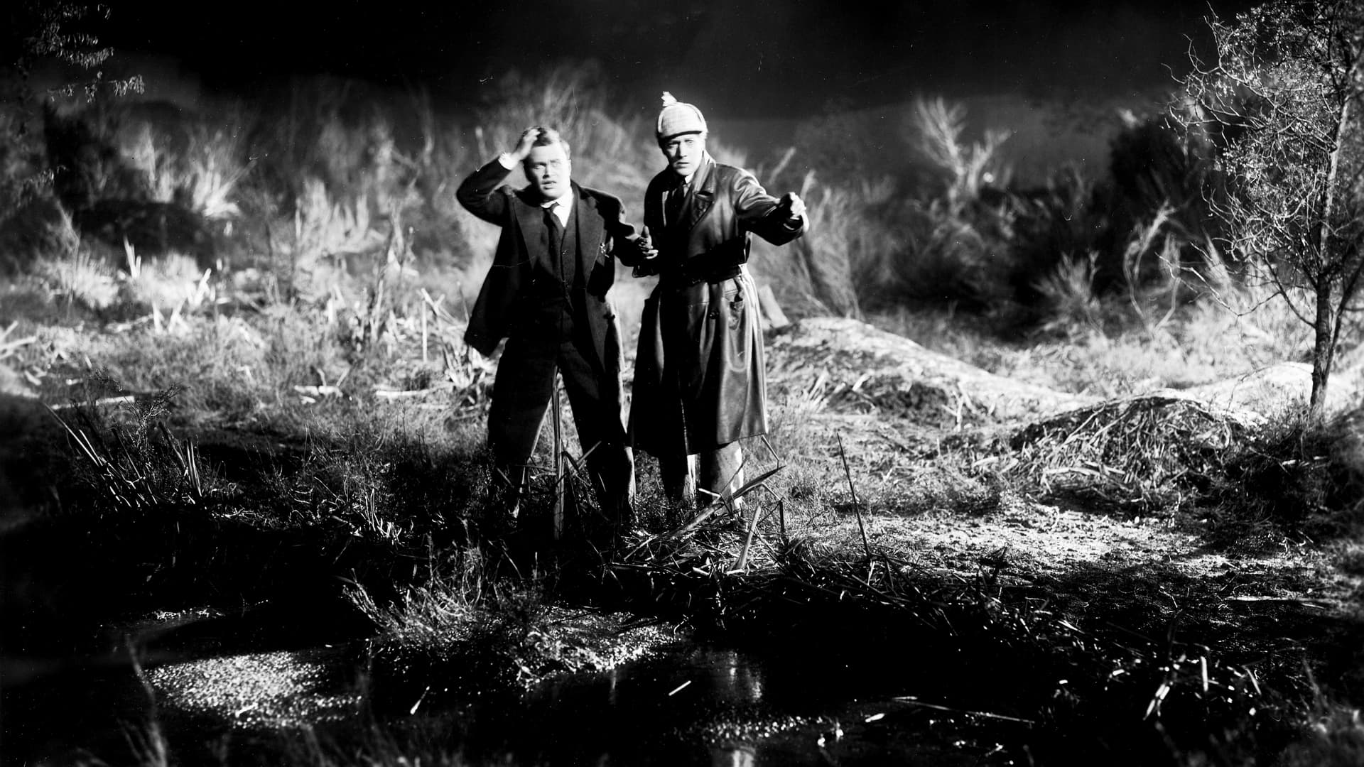 The Hound of the Baskervilles 1929 Soap2Day