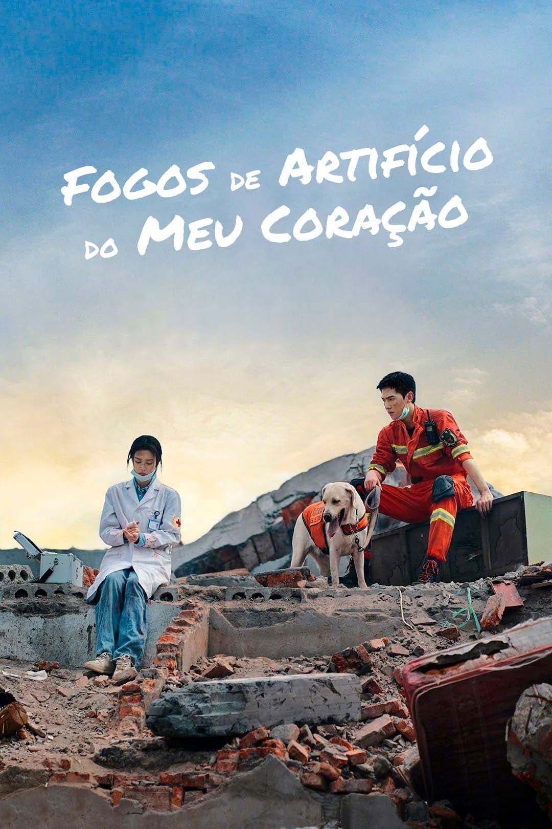 Poster de Fogos de Artifício do Meu Coração