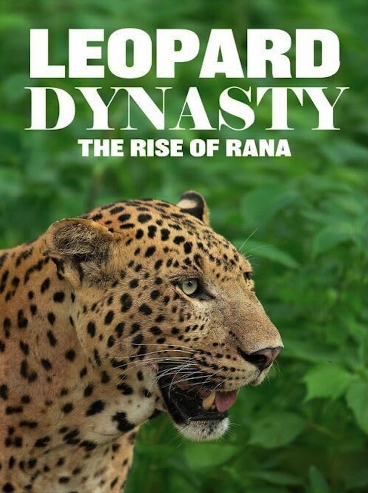 Poster de Leopard Dynasty – The Rise of Rana