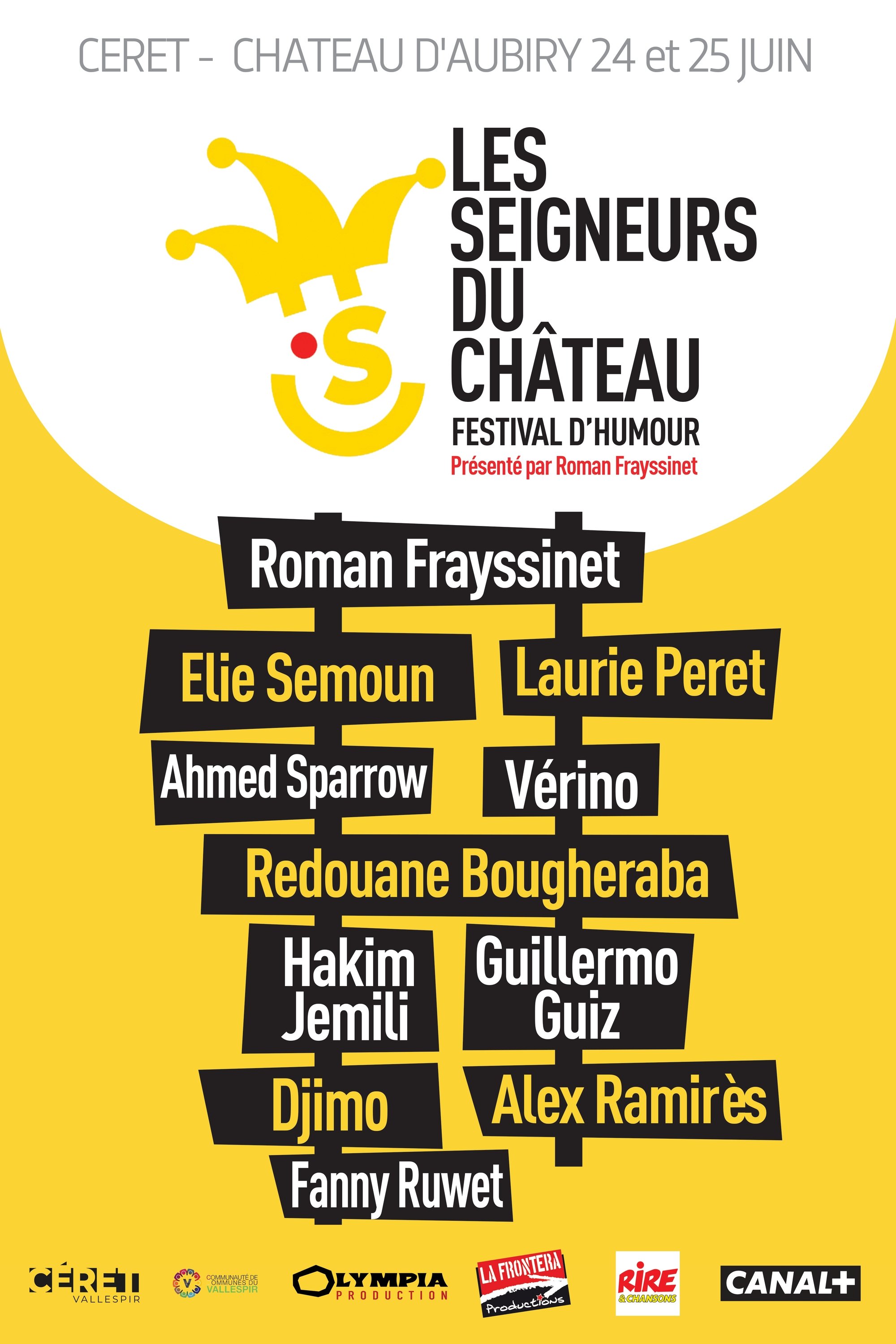 Affiche du film Les seigneurs du château