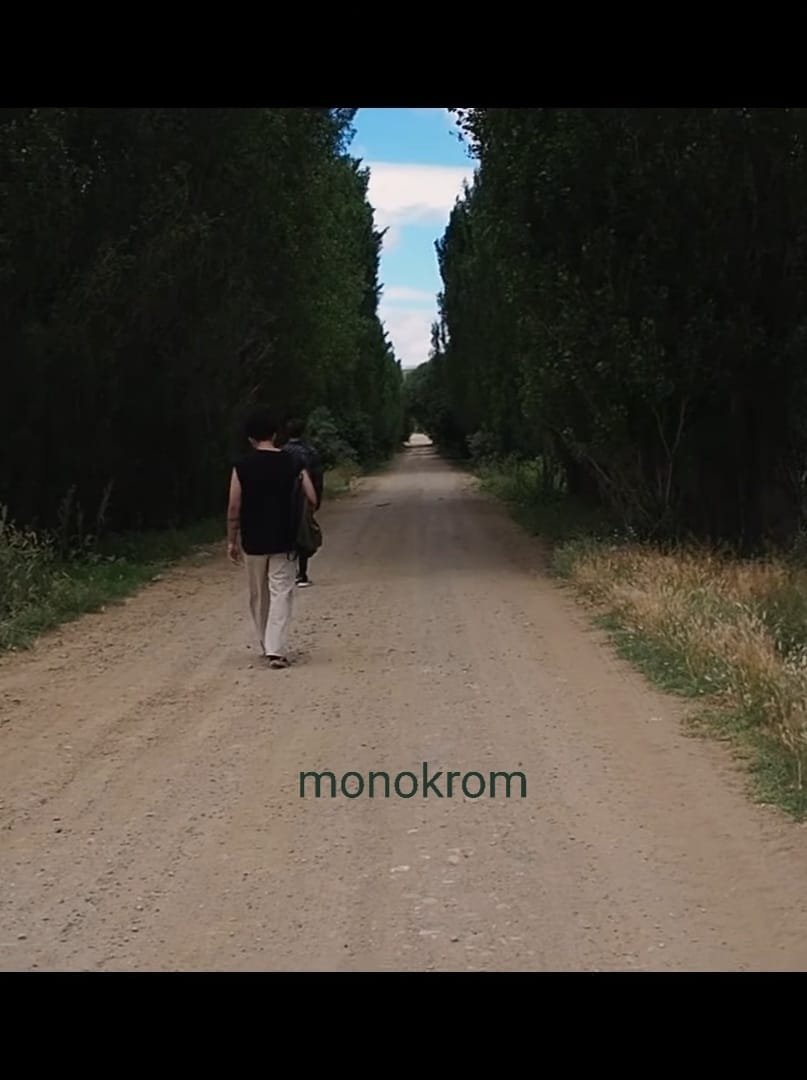 Poster de Monokrom