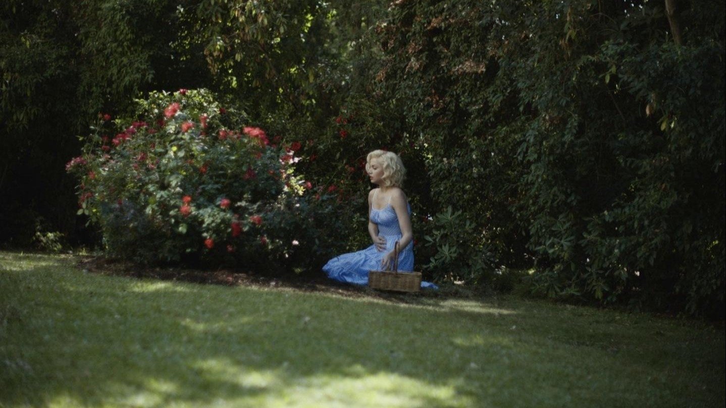 Backdrop image