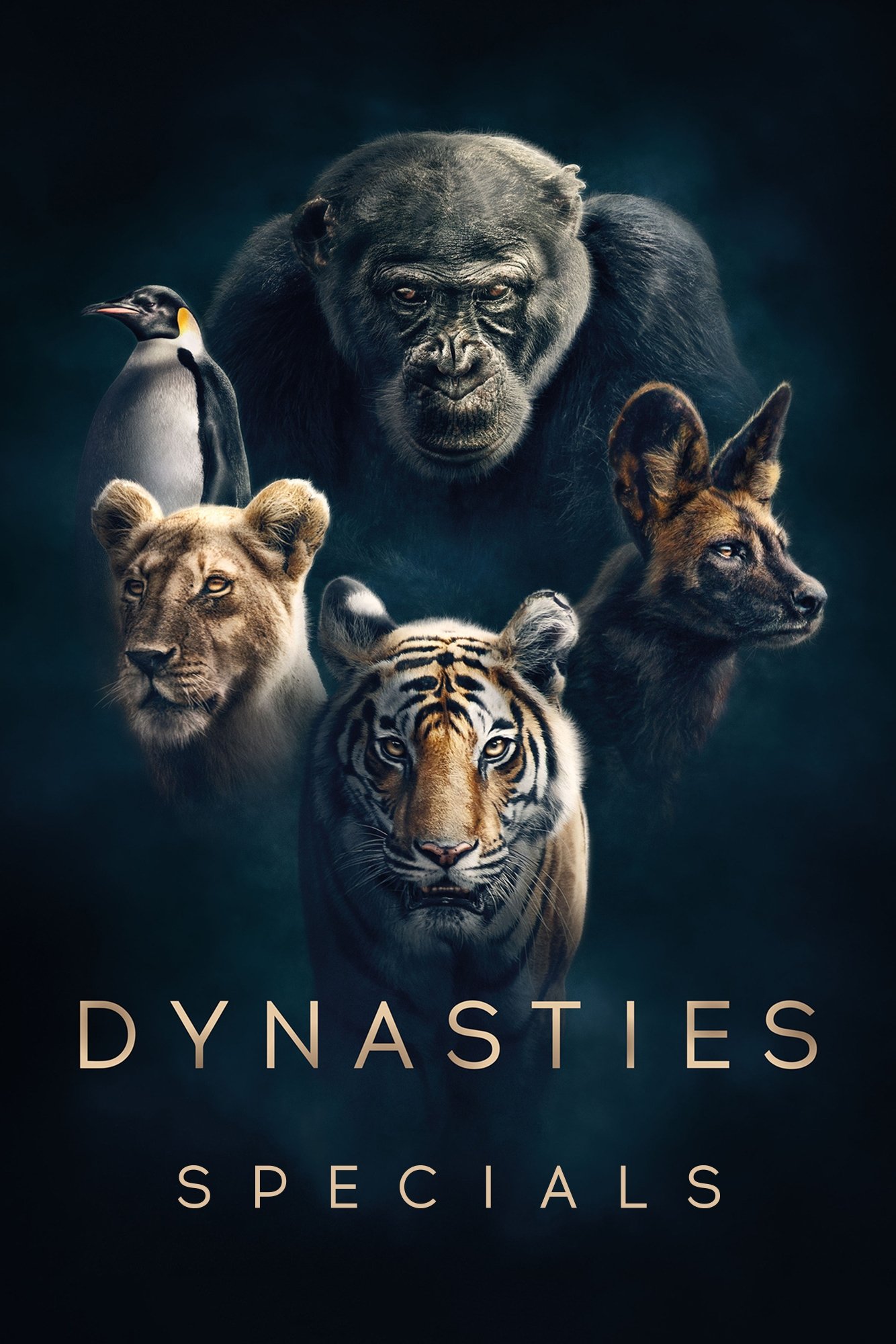 Poster de Especiais