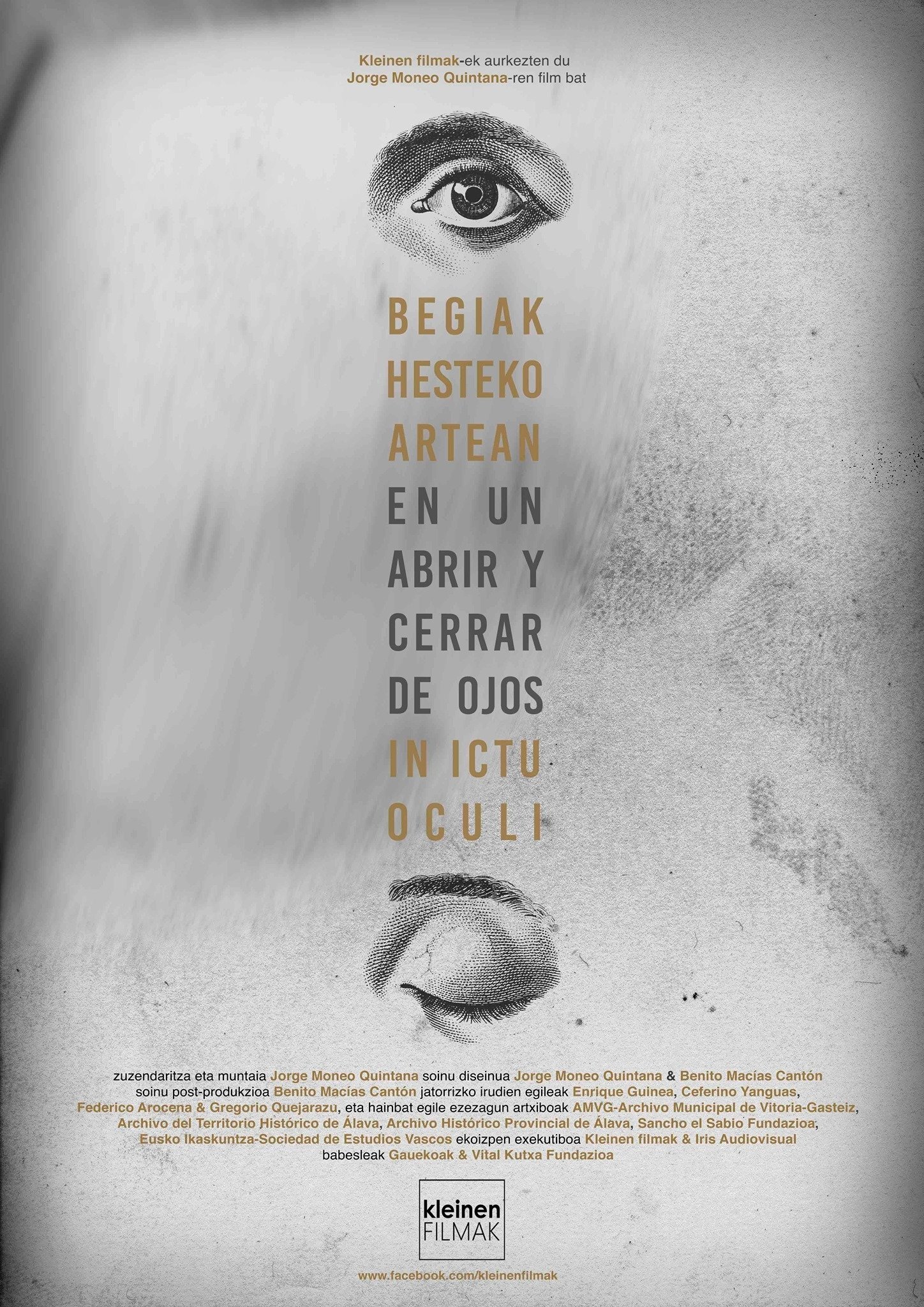 Poster de Begiak hesteko artean