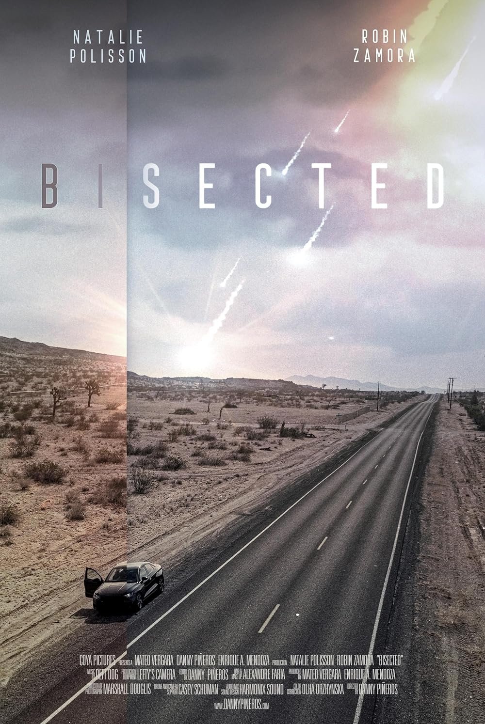 Poster de Bisected