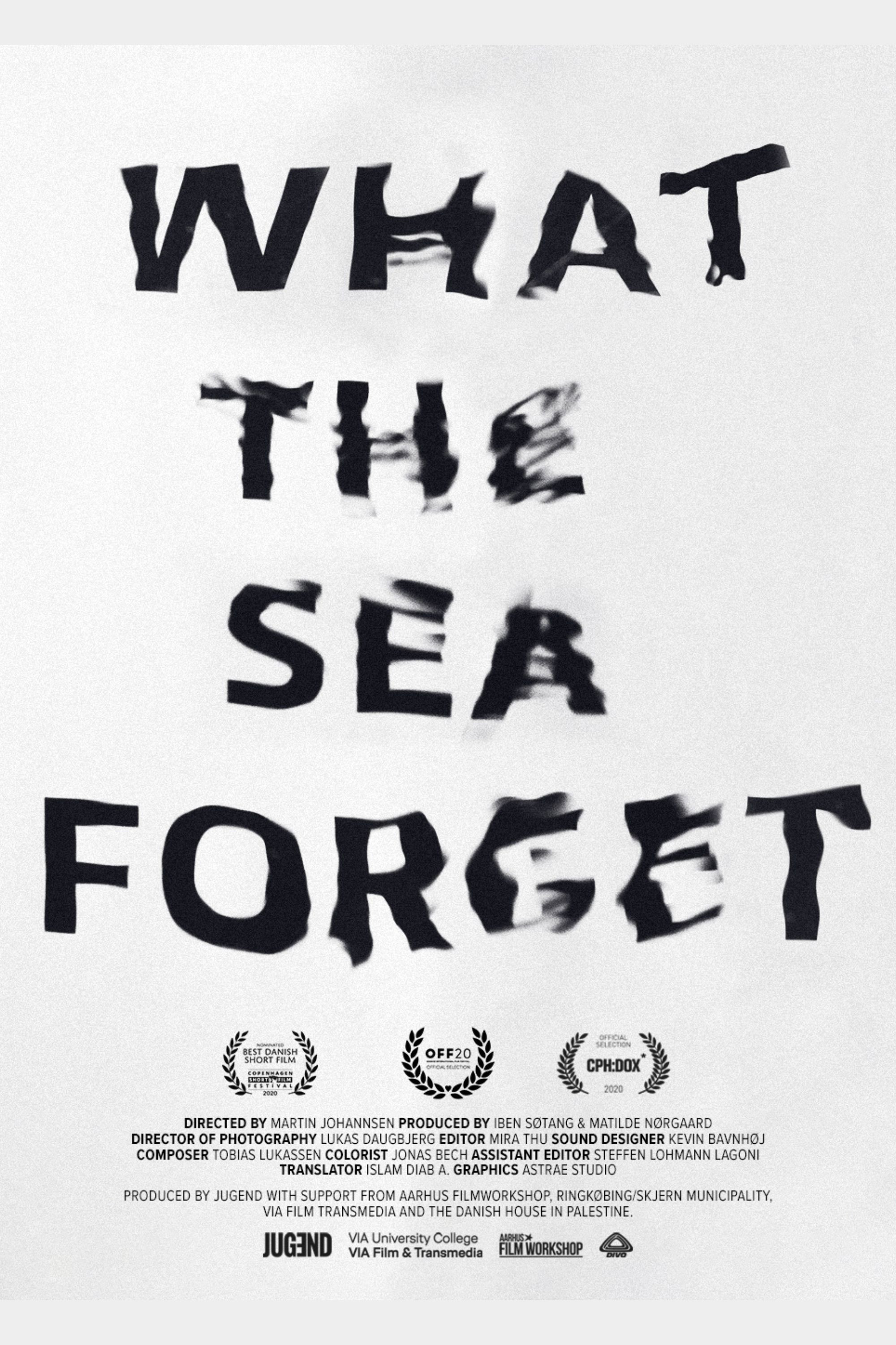What the Sea Forget