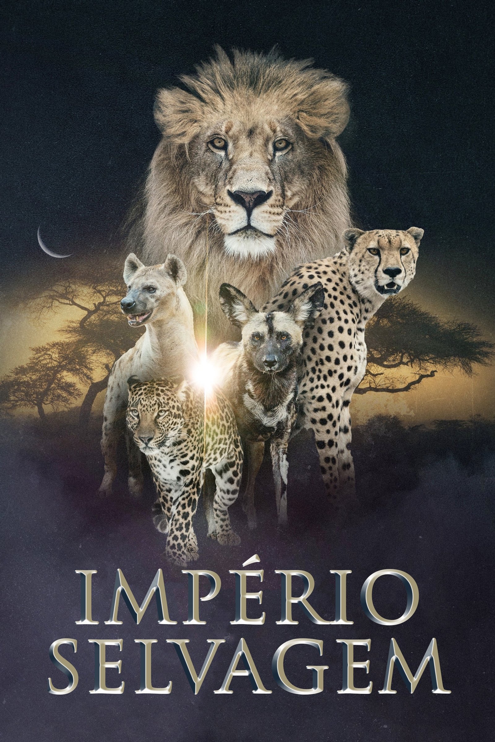 Poster de Temporada 4