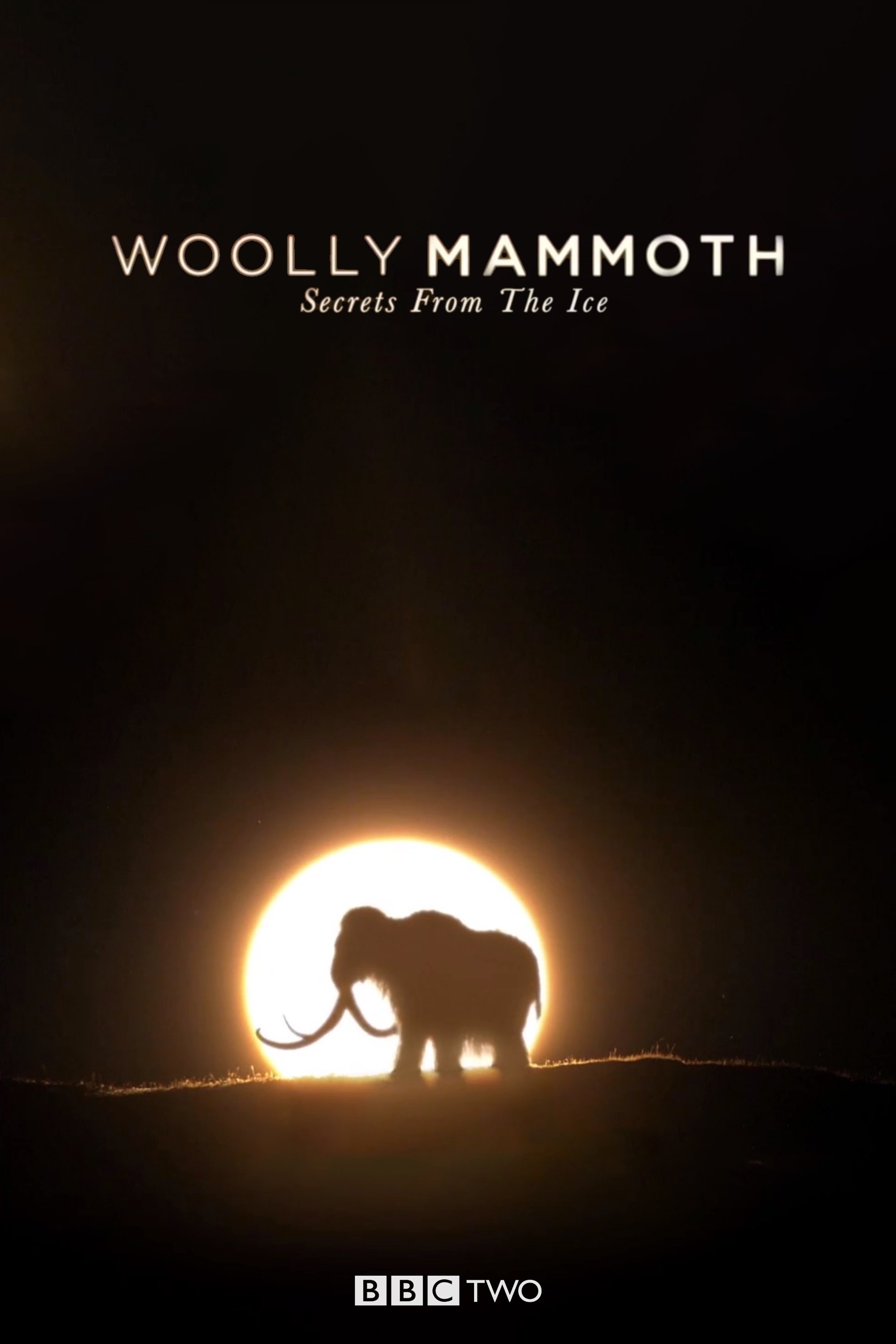 Poster de Woolly Mammoth: Secrets from the Ice