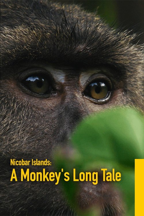 Poster de Nicobar Islands: A Monkey's Long Tale