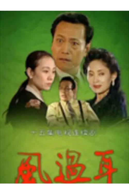 Poster de 风过耳