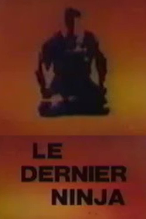 Affiche du film Le Dernier Ninja
