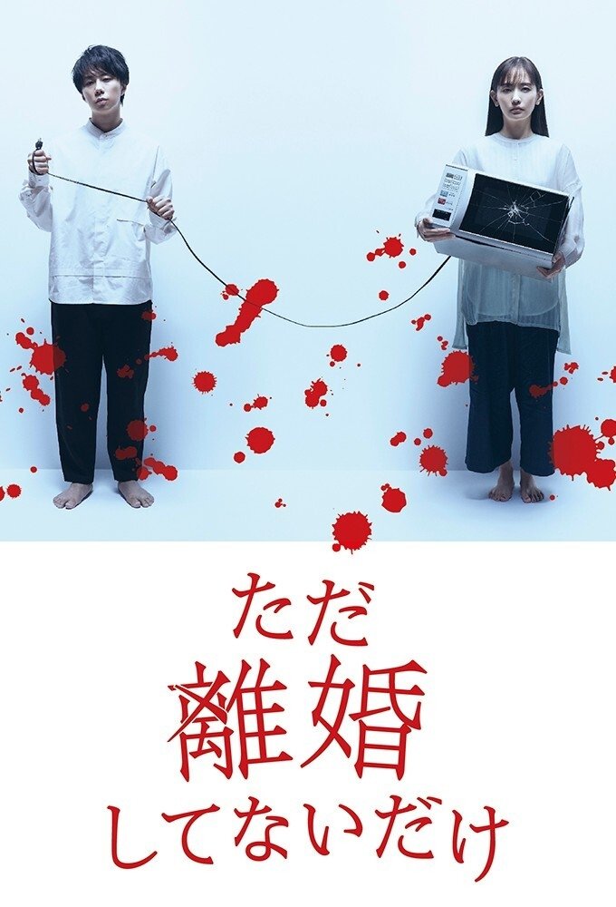 Poster de ただ離婚してないだけ
