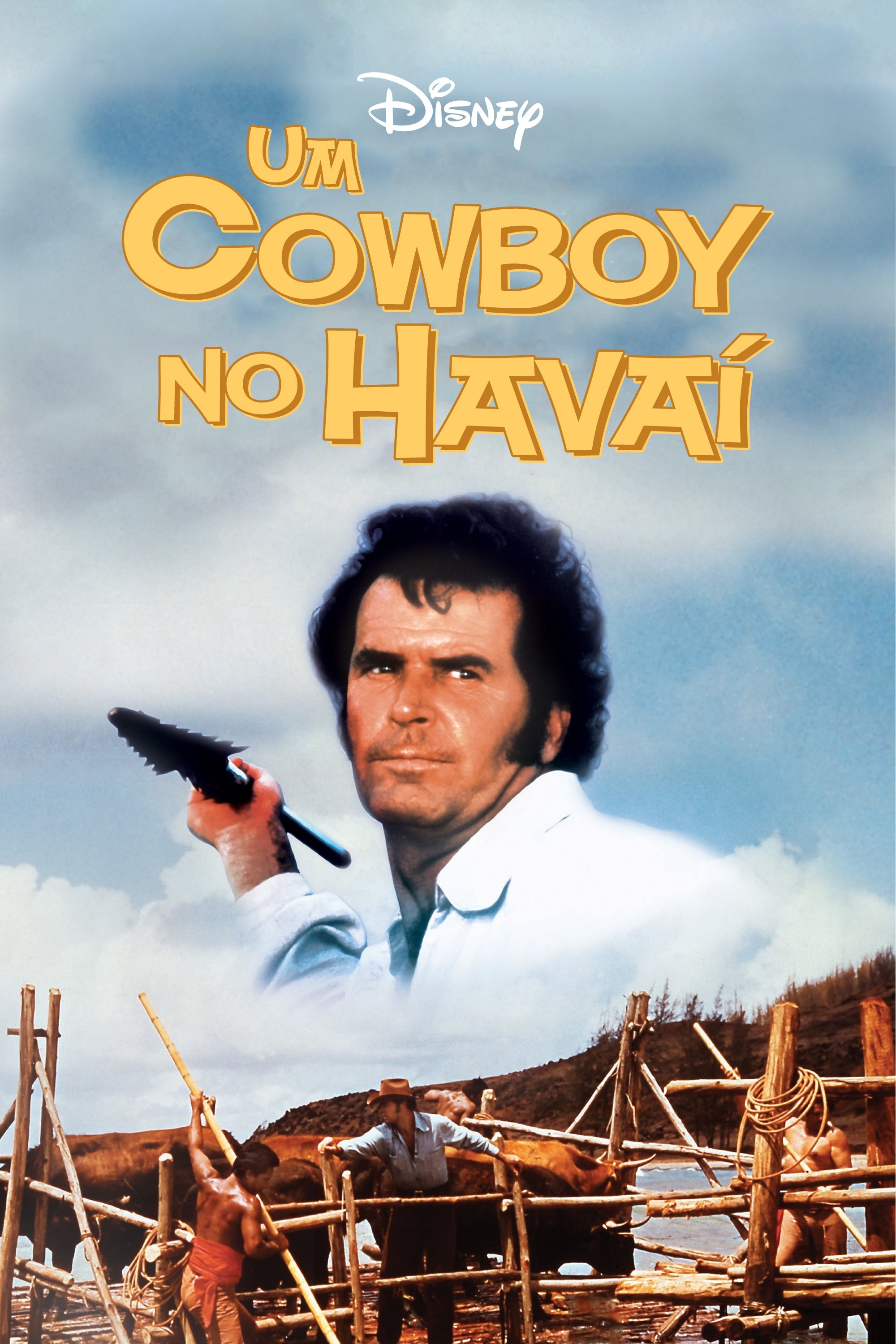 Poster de Um Cowboy no Havaí